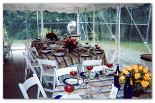 pic1[1]