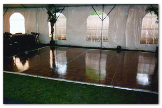 pic2[1]