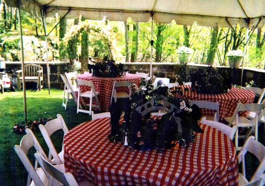 Interior Frame Tent Themed event planning