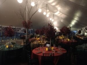 IMG_1319 tent image